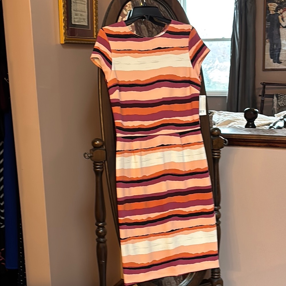 Striped Multicolor Dress
